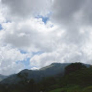 Meet your Posher, Nelly